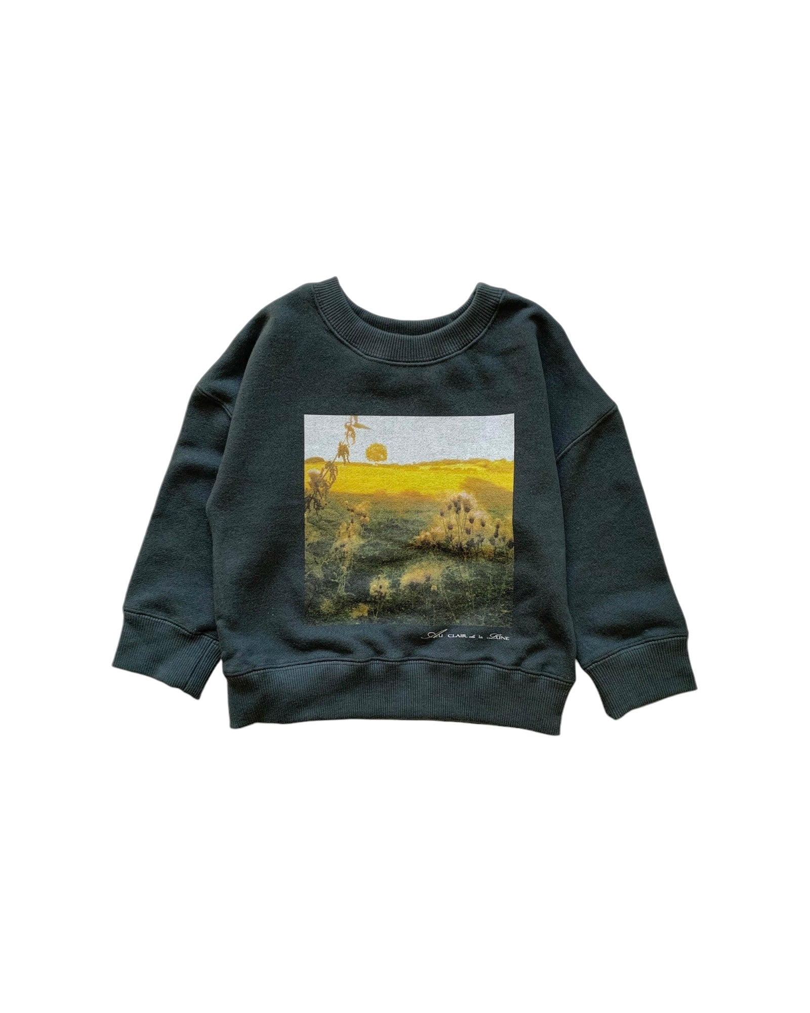 sweatshirt:Le morvan